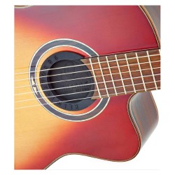 Ortega Eliminator86