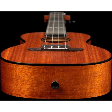 Ortega RUHZ-MM Con Gig Bag
