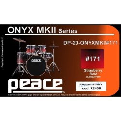 Peace DP-20ONYX-MKII-5