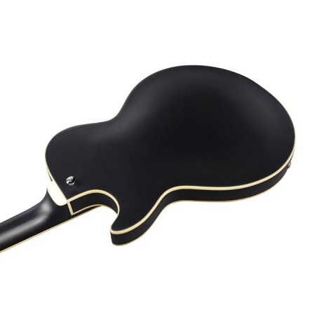 Ibanez AGB200-BKF Black Flat