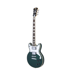 D'Angelico Premier Brighton Sherwood Green