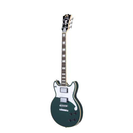 D'Angelico Premier Brighton Sherwood Green