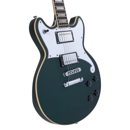 D'Angelico Premier Brighton Sherwood Green