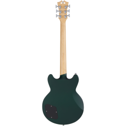D'Angelico Premier Brighton Sherwood Green