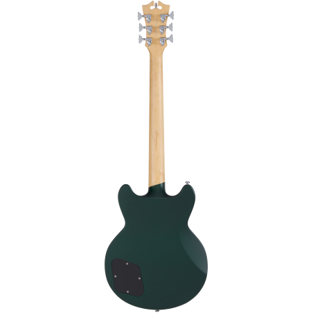 D'Angelico Premier Brighton Sherwood Green