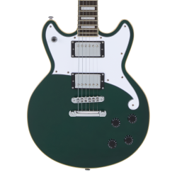 D'Angelico Premier Brighton Sherwood Green
