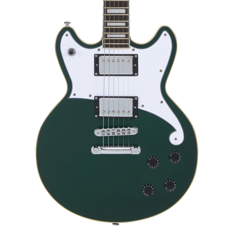 D'Angelico Premier Brighton Sherwood Green