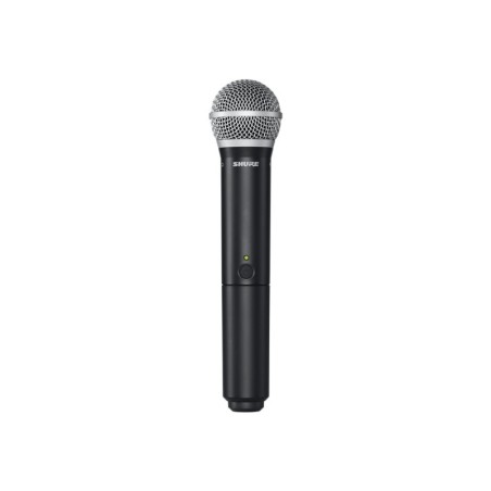 Shure BLX288E/PG58 M17