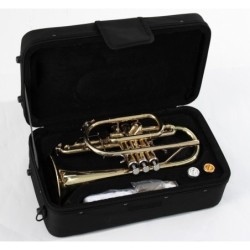Soundsation STPSL-10 (Bb)