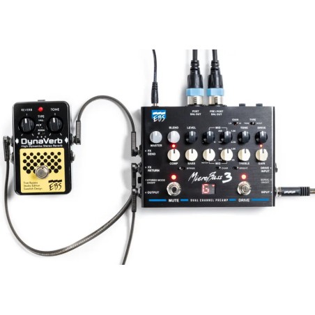 Ebs MicroBass 3