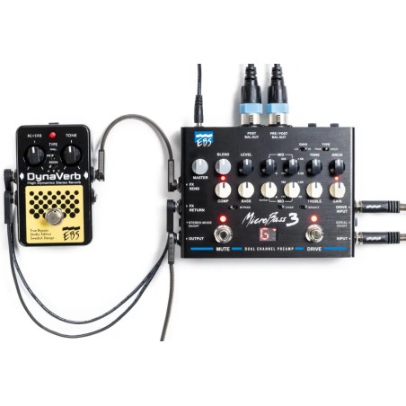 Ebs MicroBass 3