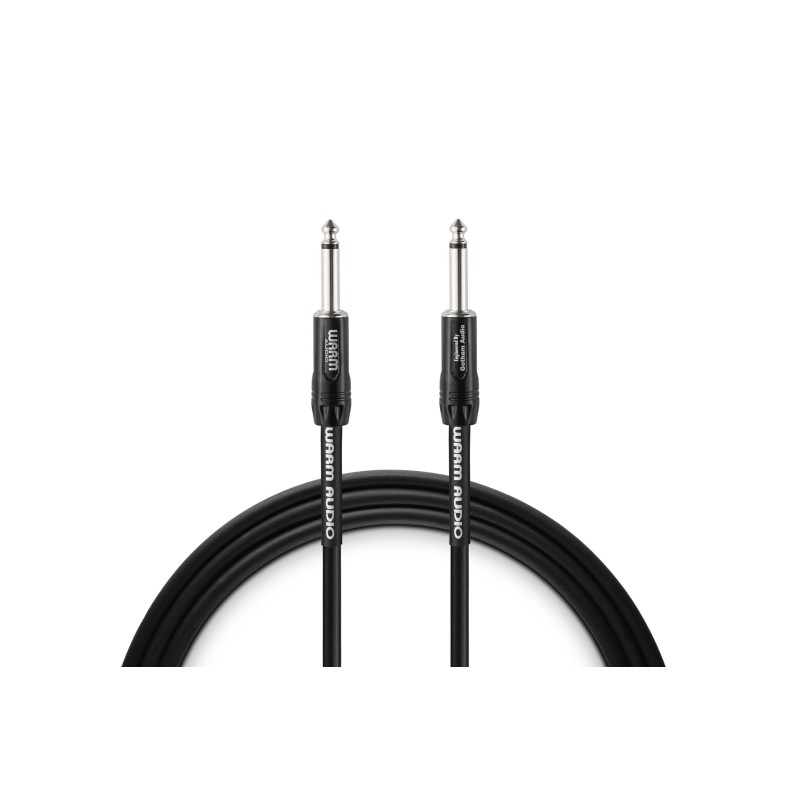 Warm Audio PRO TS 6.1 mt