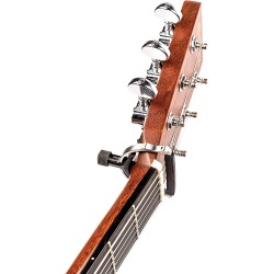 D'Addario Capo PW-CP-18