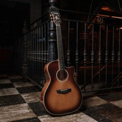 D'Angelico Excel Gramercy Autumn Burst
