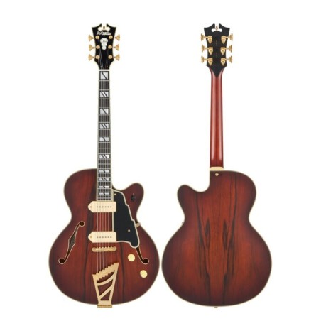 D'Angelico Deluxe 59 Satin Brown Burst