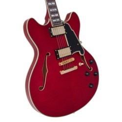 D'Angelico Excel DC Trans Cherry