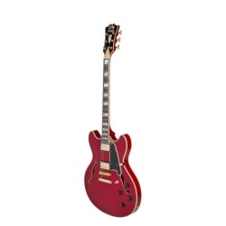D'Angelico Excel DC Trans Cherry