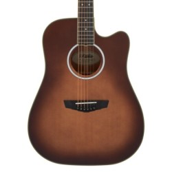 D'Angelico Excel Bowery Autumn Burst