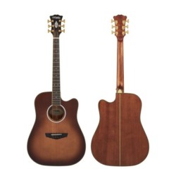 D'Angelico Excel Bowery Autumn Burst