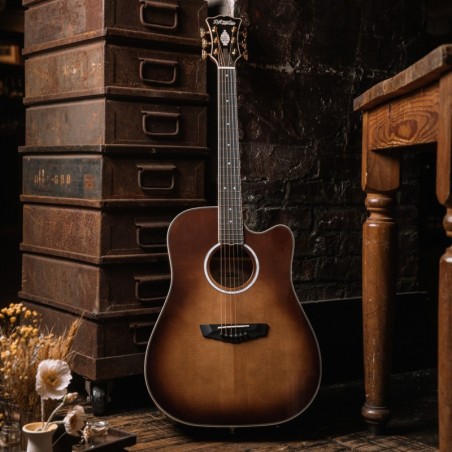 D'Angelico Excel Bowery Autumn Burst