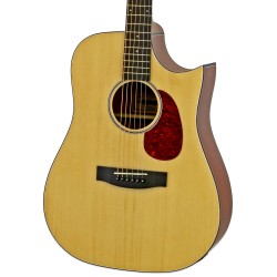 Aria 111CE-MTN