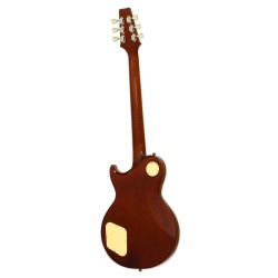 Aria Pro II PE-350STD