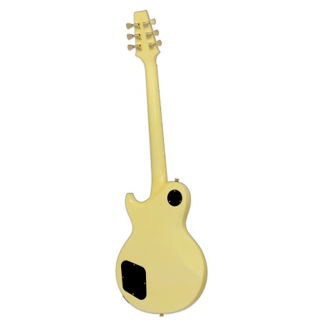 Aria Pro II PE-350CST-AGWH