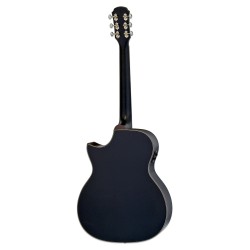 Aria Serie101CE MTBK