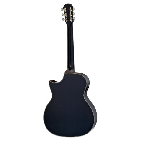 Aria Serie101CE MTBK