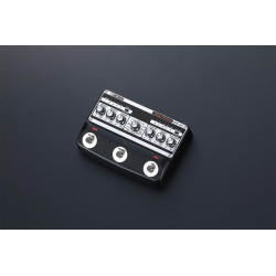 BOSS DM-101