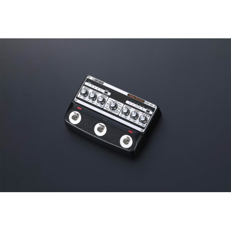 BOSS DM-101