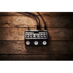 BOSS DM-101