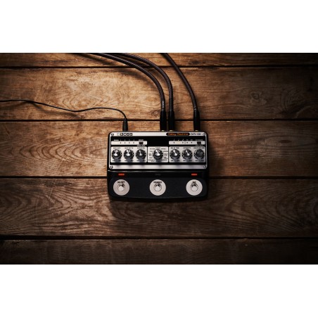 BOSS DM-101