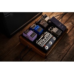 BOSS DM-101