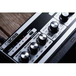 BOSS DM-101
