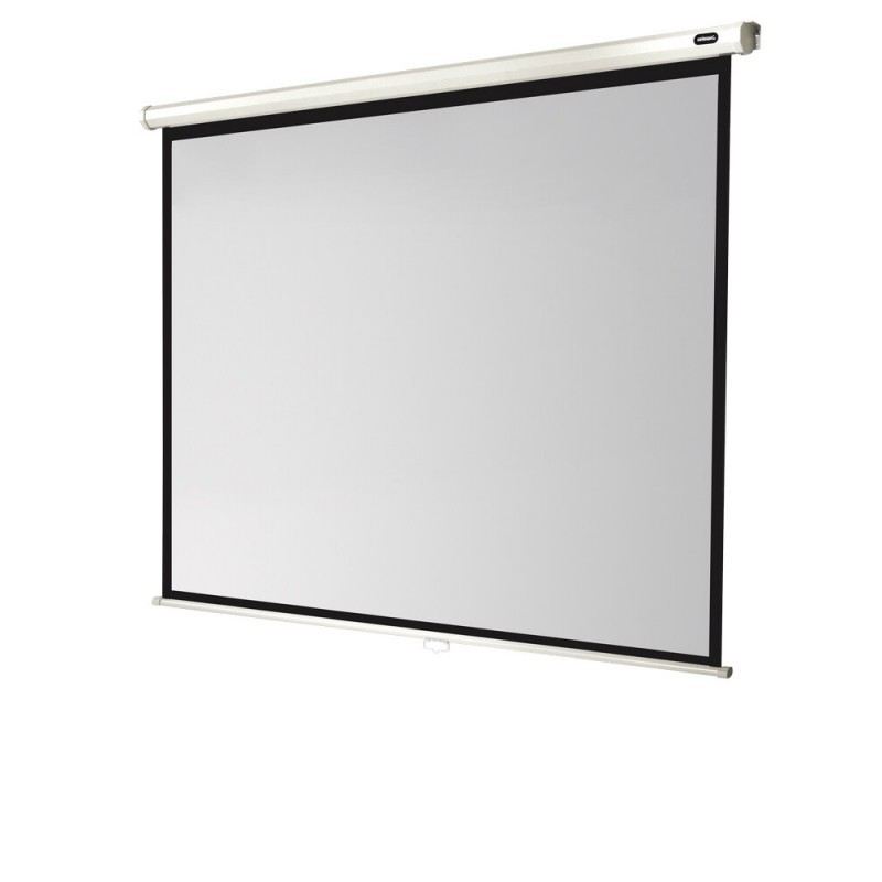 celexon screen Manual Economy 220x165 cm