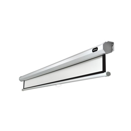 celexon screen Manual Economy 220x165 cm