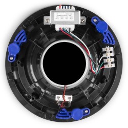 Power Dynamics NCSP8
