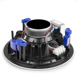Power Dynamics NCSP8