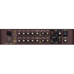 BOSS Acoustic Singer Pro Amp