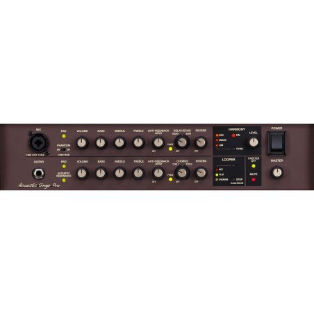 BOSS Acoustic Singer Pro Amp