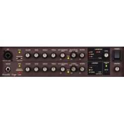 BOSS Acoustic Singer Live Amp