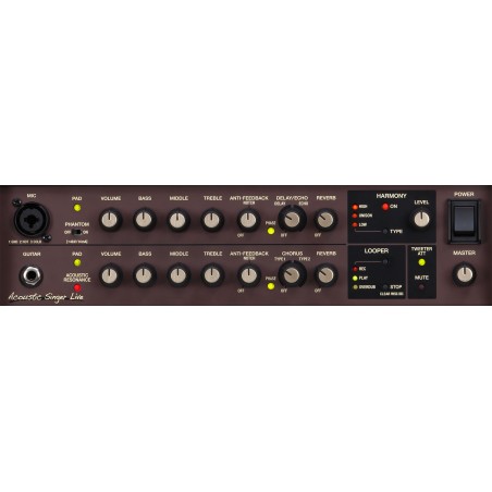 BOSS Acoustic Singer Live Amp