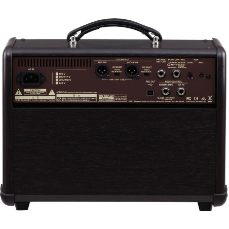 BOSS Acoustic Singer Live Amp