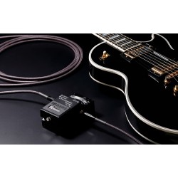 BOSS BIC-P10A