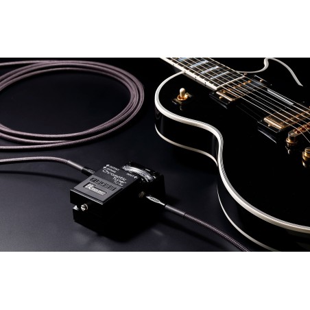 BOSS BIC-P10A