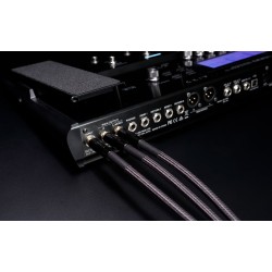 BOSS BIC-P10A
