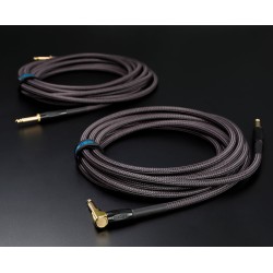 BOSS BIC-P10A