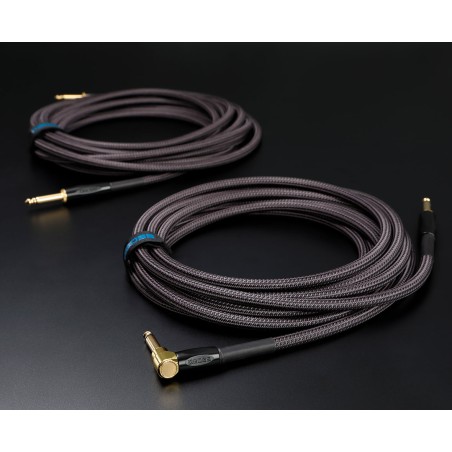 BOSS BIC-P10A