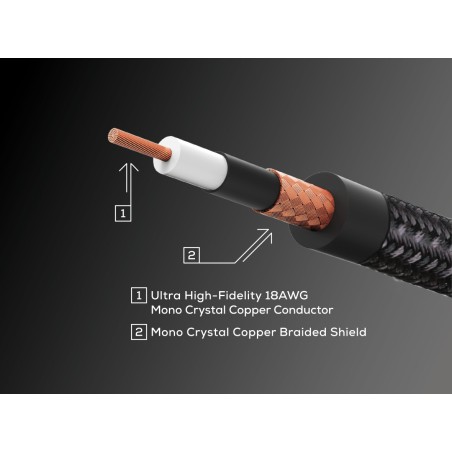 BOSS BIC-P10A